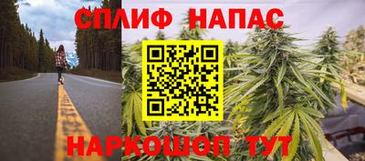 хмурый Тара