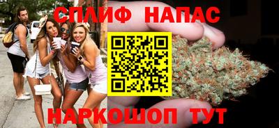 мдпв Татарск