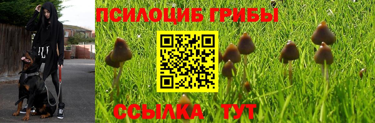 Псилоцибиновые грибы GOLDEN TEACHER Новоалтайск